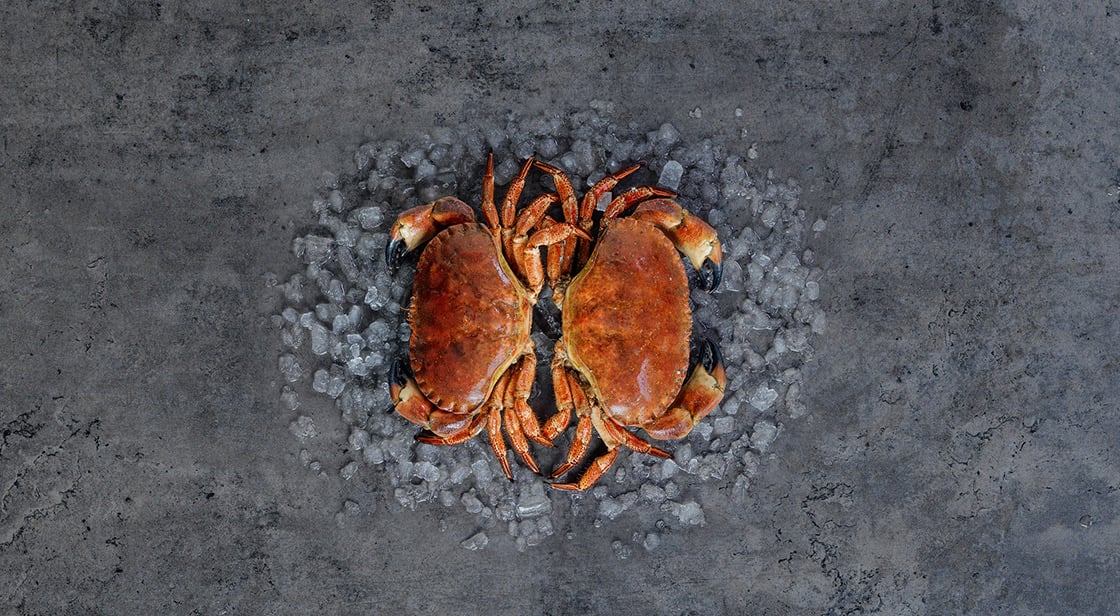 Brown crabs on ice