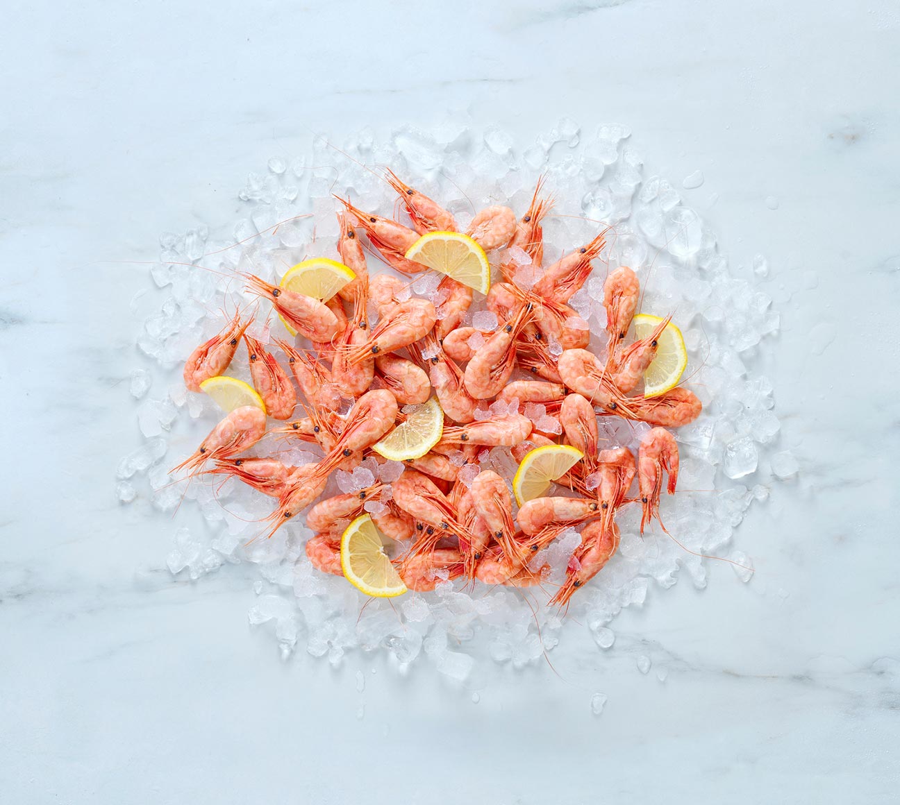 Norwegian cold-water prawns