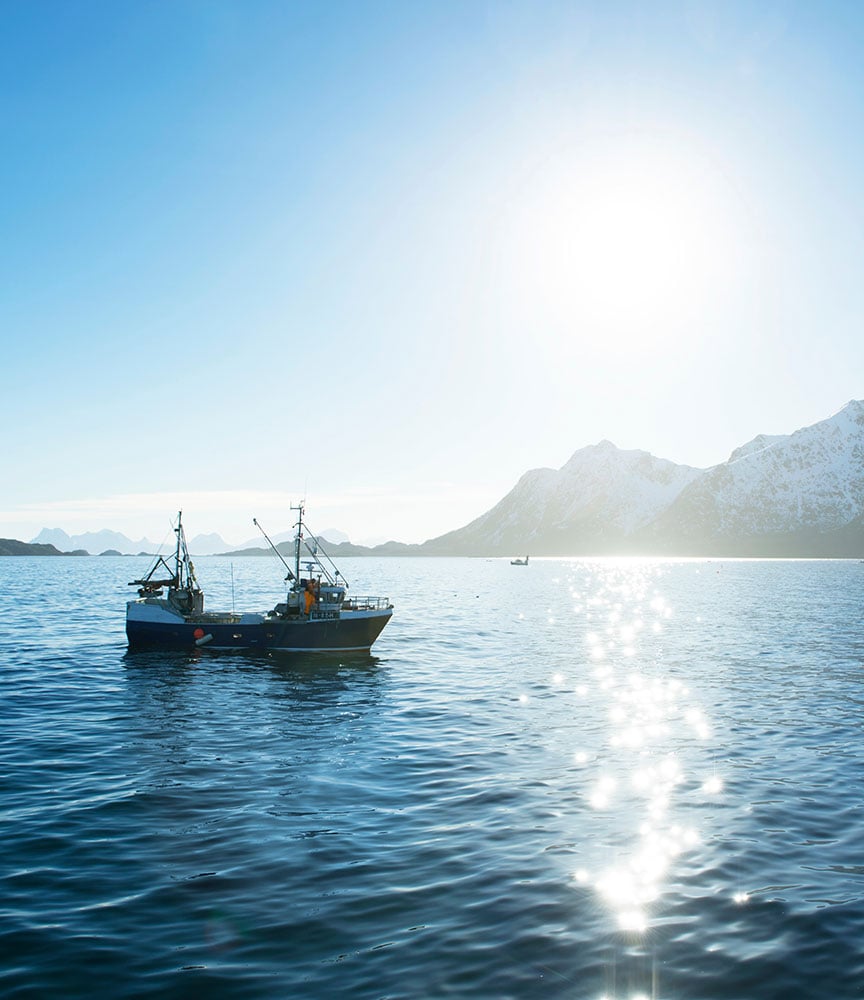 Norwegian fishing vessel | Photo: Johan Wildhagen